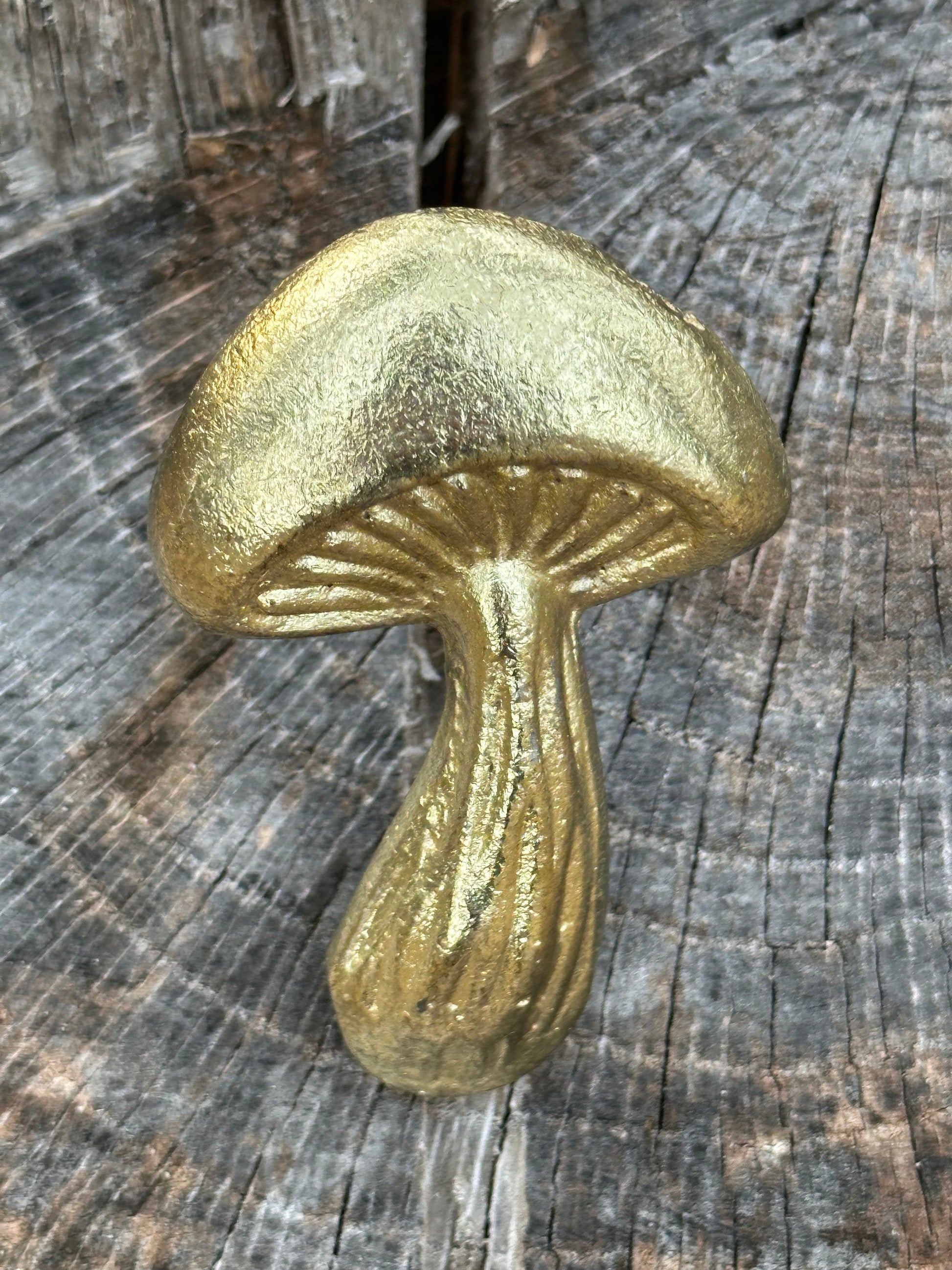 SALE/Mushroom knobs and Pulls/Nature Mushroom Drawer Knobs/Cabinet Pulls/Wardrobe Pull /Desk Knob /kitchen Knob/Dresser knobs/Mushroom decor