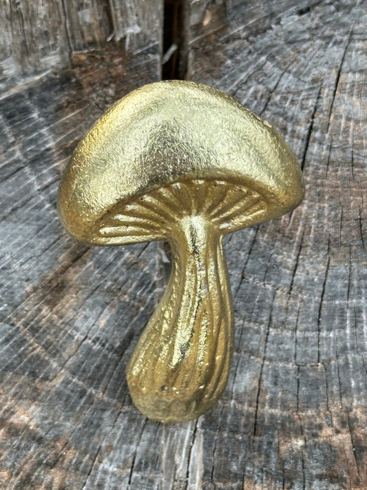 Mushroom knobs and Pulls/Nature Mushroom Drawer Knobs/Cabinet Pulls/Wardrobe Pull /Desk Knob /kitchen Knob/Dresser knobs/Mushroom decor