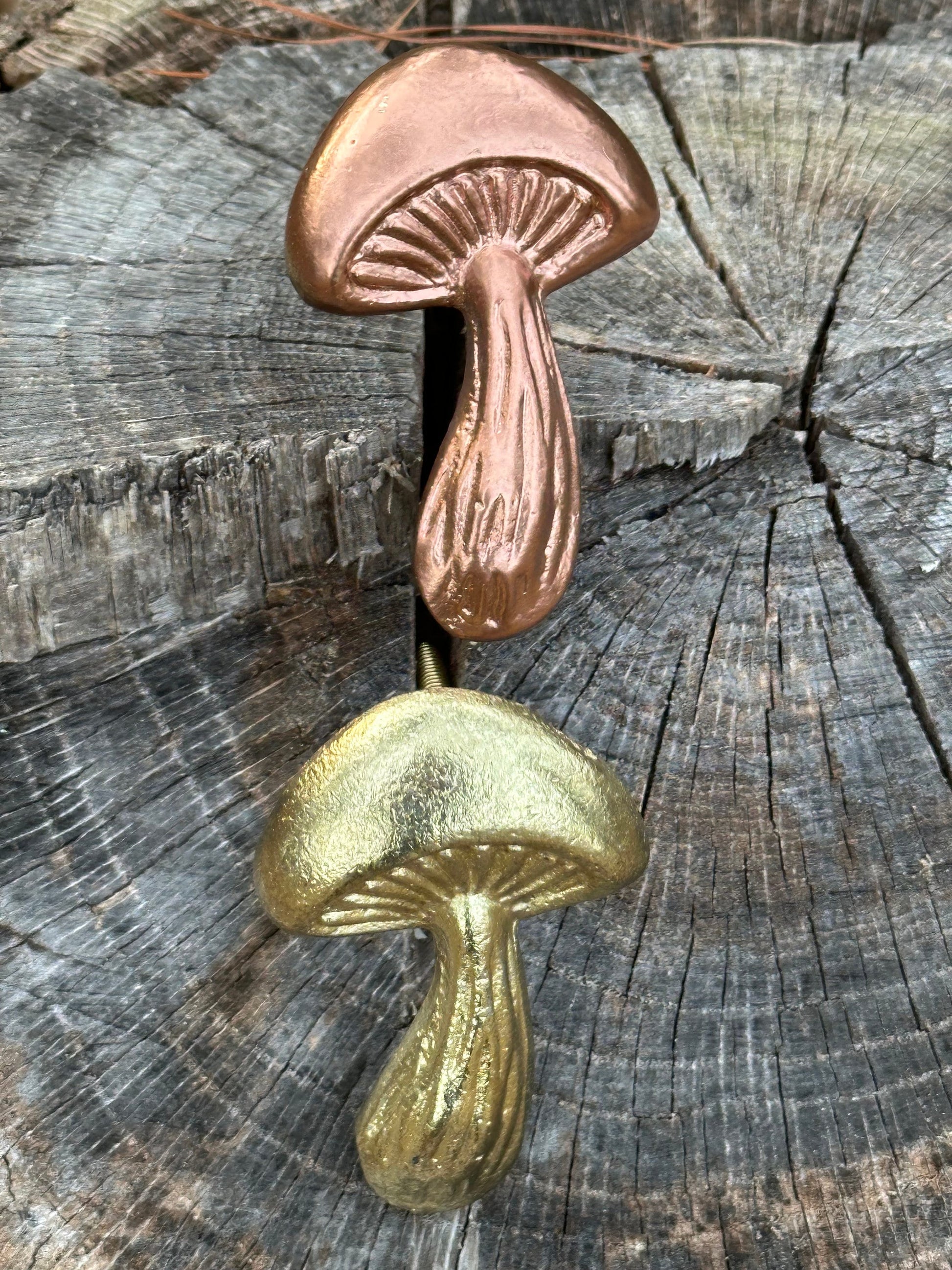 SALE/Mushroom knobs and Pulls/Nature Mushroom Drawer Knobs/Cabinet Pulls/Wardrobe Pull /Desk Knob /kitchen Knob/Dresser knobs/Mushroom decor