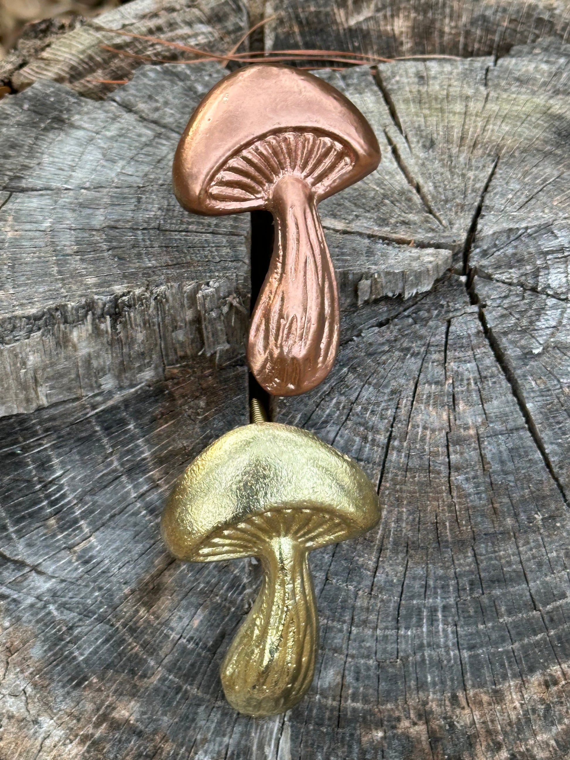 SALE/Mushroom knobs and Pulls/Nature Mushroom Drawer Knobs/Cabinet Pulls/Wardrobe Pull /Desk Knob /kitchen Knob/Dresser knobs/Mushroom decor