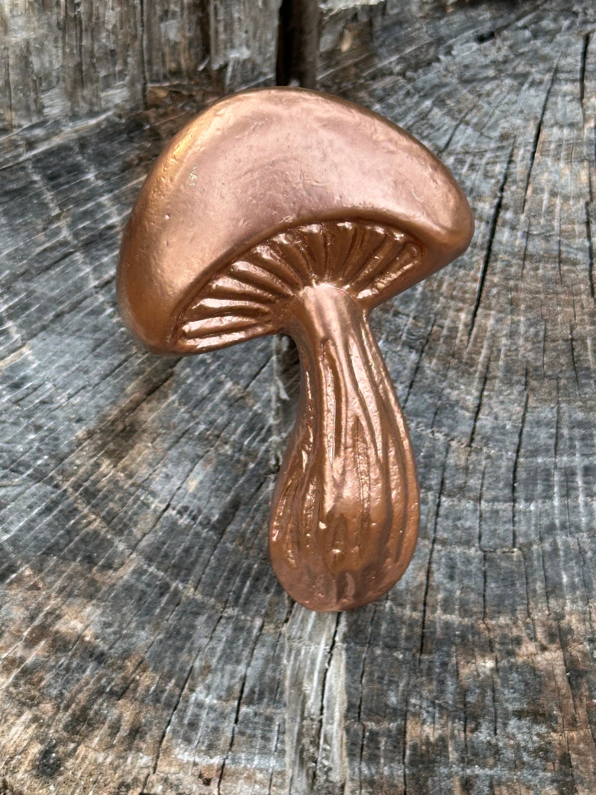 Mushroom knobs and Pulls/Nature Mushroom Drawer Knobs/Cabinet Pulls/Wardrobe Pull /Desk Knob /kitchen Knob/Dresser knobs/Mushroom decor