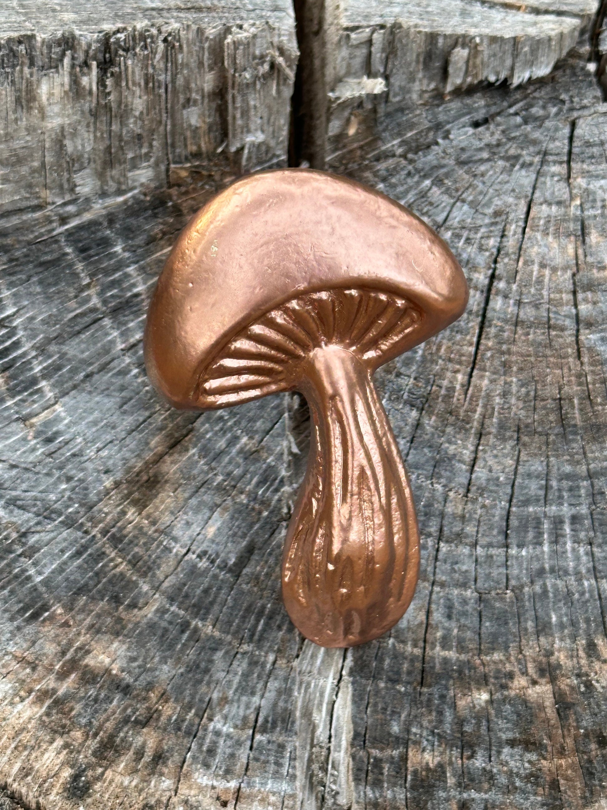 Mushroom knobs and Pulls/Nature Mushroom Drawer Knobs/Cabinet Pulls/Wardrobe Pull /Desk Knob /kitchen Knob/Dresser knobs/Mushroom decor