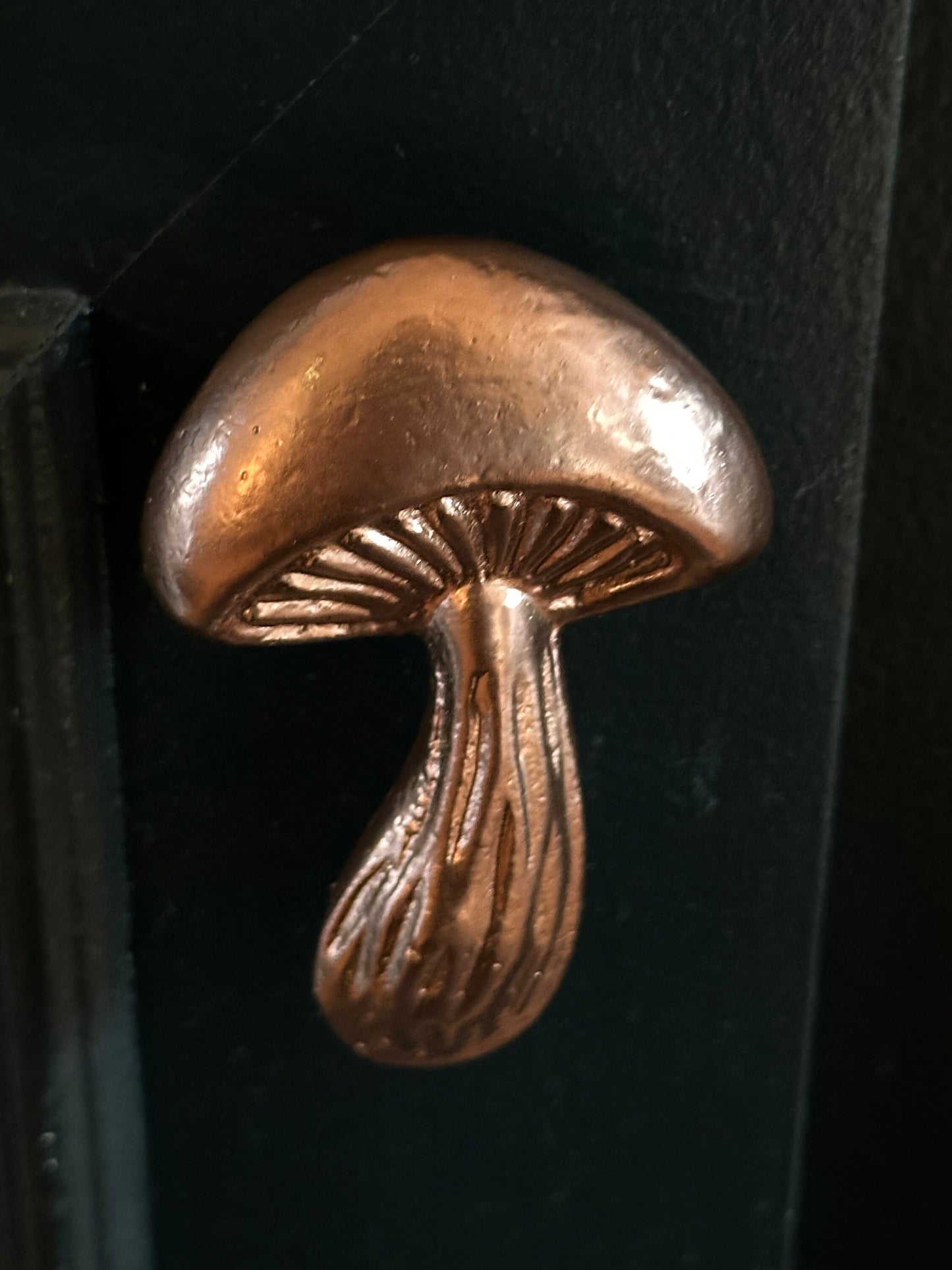 SALE/Mushroom knobs and Pulls/Nature Mushroom Drawer Knobs/Cabinet Pulls/Wardrobe Pull /Desk Knob /kitchen Knob/Dresser knobs/Mushroom decor